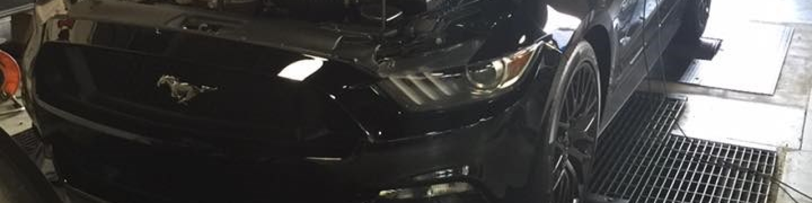stang